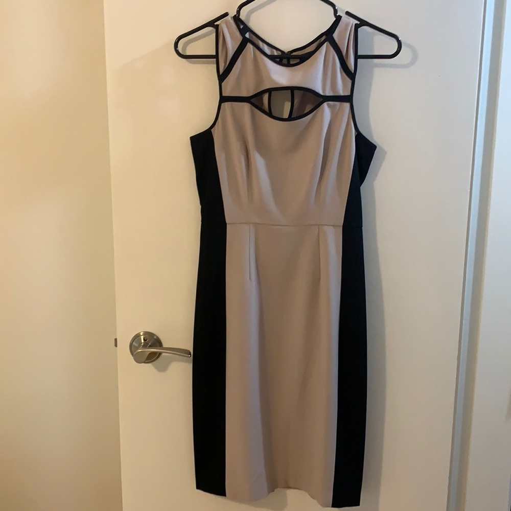 BCBGMaxAzria Elegant, sexy business formal/wedding guest dress